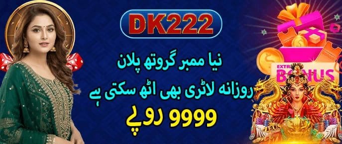 DK222 Game