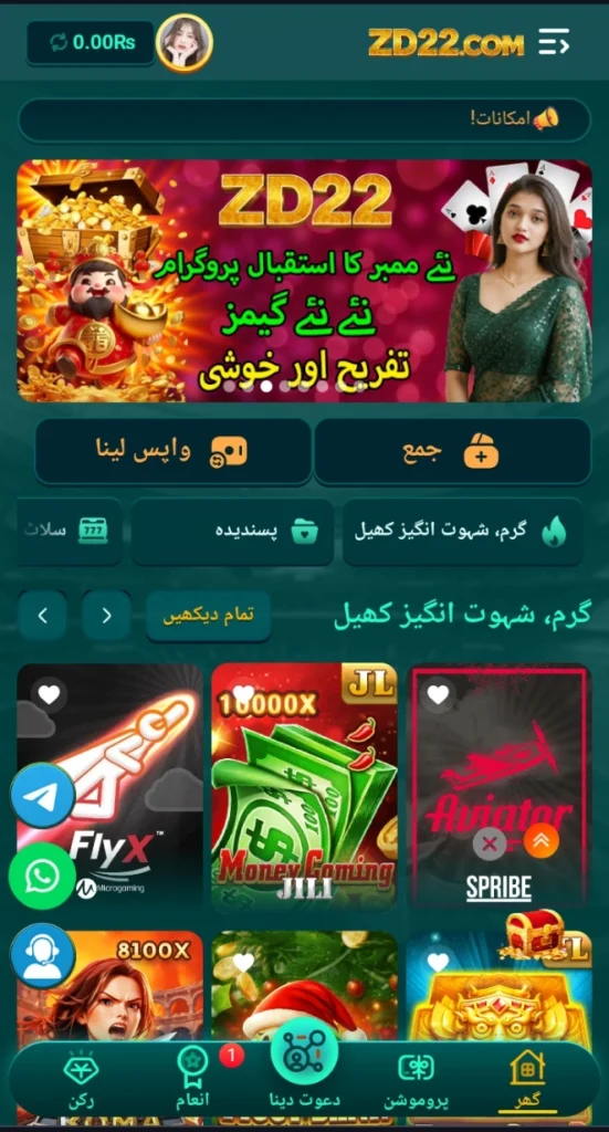 ZD22 Game interface image