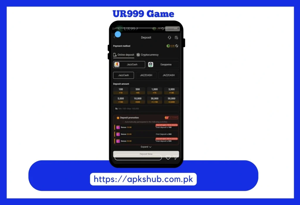 Deposit setion screenshot