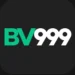BV999 Game Logo