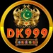 DK999 Game Logo