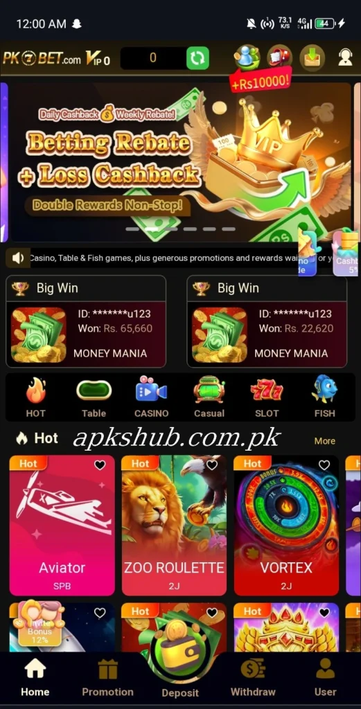 PK7 Bet Game Interface screenshot