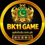 BK11 Game Logo
