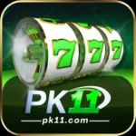 PK11 Game logo