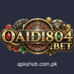 Qaidi 804 Game Logo