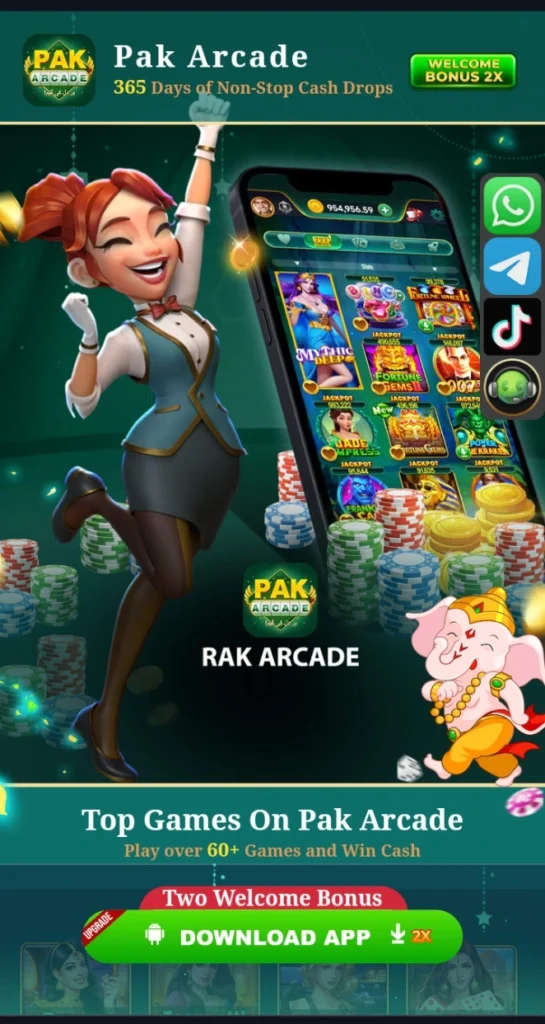 PAk Arcade Game interface