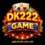 DK222 Game Logo