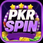 PKRSpin Game logo