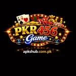 PKR456 Game logo