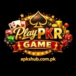 PlayPKR Game logo