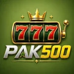 Pak500 Game logo