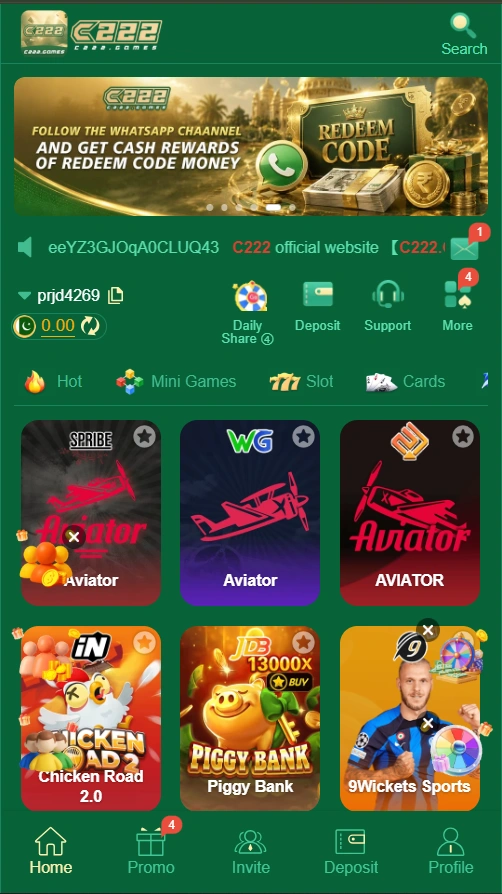 c222 Game interface
